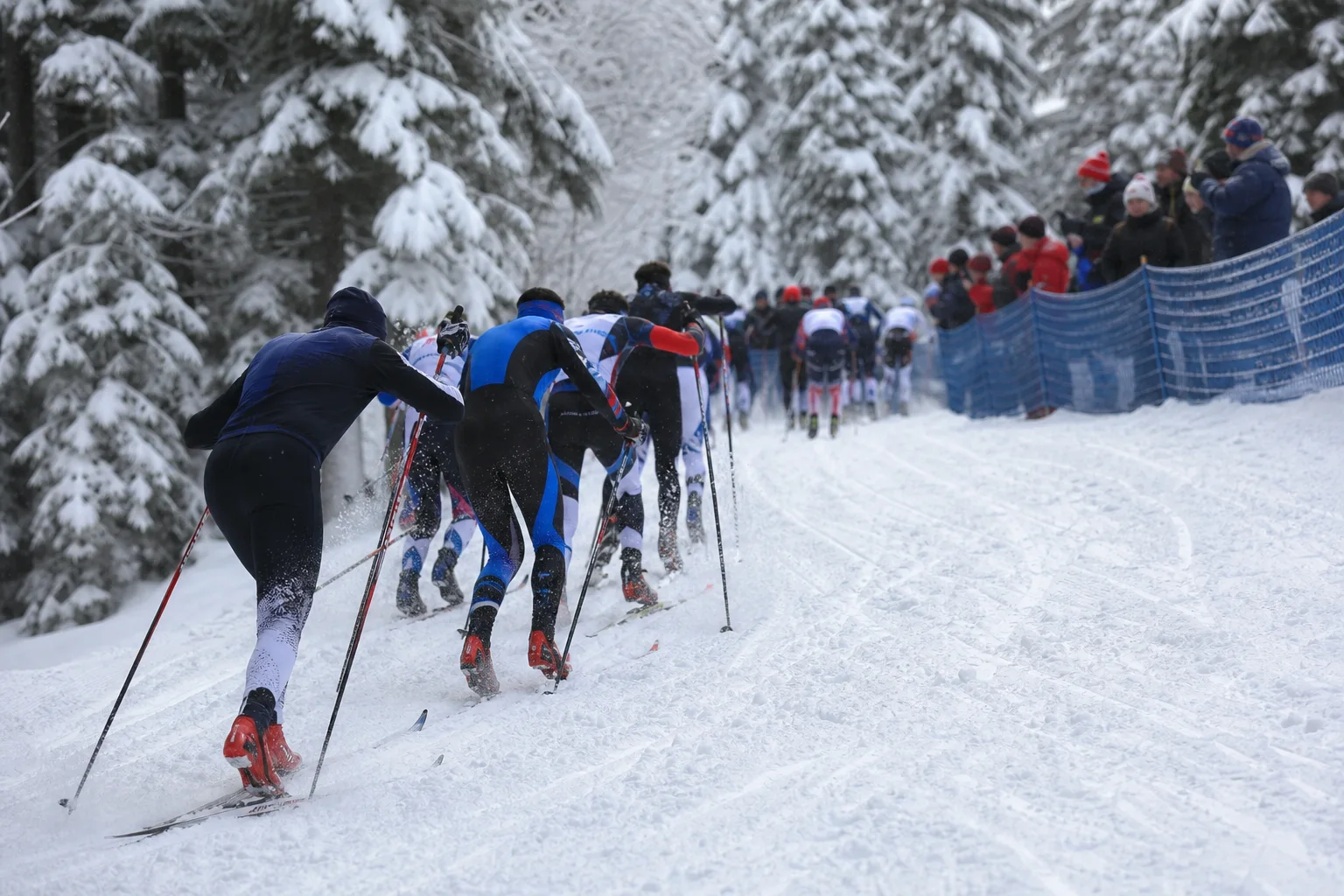Längdskidåkning i Vinter-OS 2026